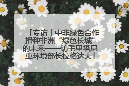 专访丨中非绿色合作播种非洲“绿色长城”的未来——访毛里塔尼亚环境部长拉格达夫
