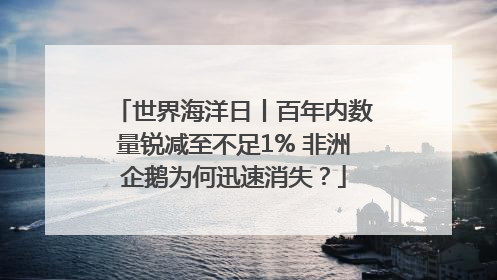 世界海洋日丨百年内数量锐减至不足1% 非洲企鹅为何迅速消失？