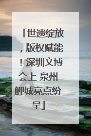 世遗绽放，版权赋能！深圳文博会上 泉州鲤城亮点纷呈