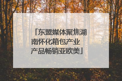 东盟媒体聚焦湖南怀化箱包产业 产品畅销亚欧美