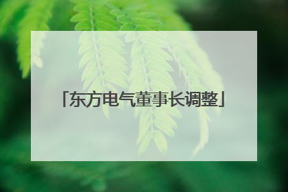 东方电气董事长调整