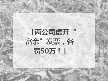 两公司虚开“富余”发票，各罚50万！