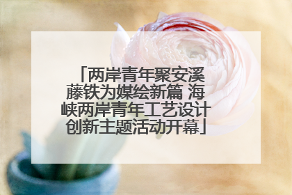 两岸青年聚安溪 藤铁为媒绘新篇 海峡两岸青年工艺设计创新主题活动开幕
