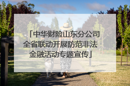 中华财险山东分公司全省联动开展防范非法金融活动专题宣传