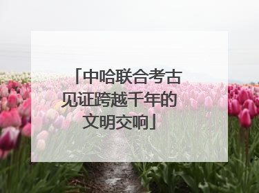 中哈联合考古见证跨越千年的文明交响