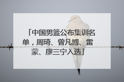 中国男篮公布集训名单，周琦、曾凡博、雷蒙、廖三宁入选