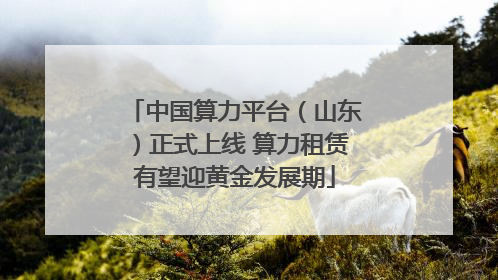 中国算力平台（山东）正式上线 算力租赁有望迎黄金发展期