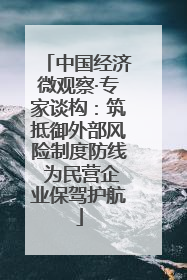 中国经济微观察·专家谈构：筑抵御外部风险制度防线 为民营企业保驾护航