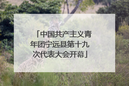 中国共产主义青年团宁远县第十九次代表大会开幕