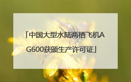 中国大型水陆两栖飞机AG600获颁生产许可证