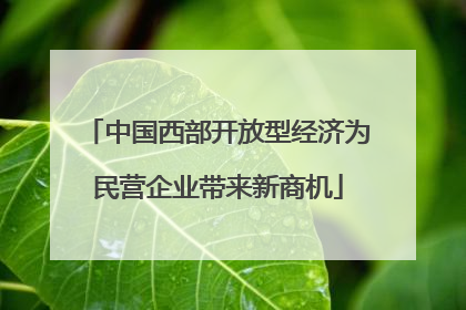 中国西部开放型经济为民营企业带来新商机