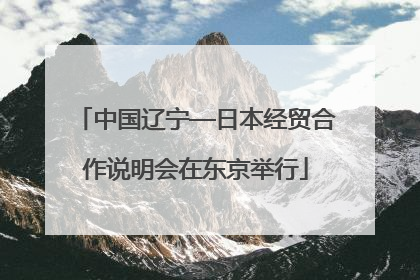 中国辽宁—日本经贸合作说明会在东京举行