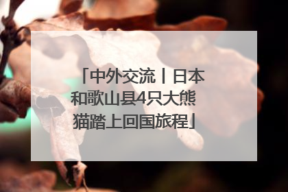 中外交流丨日本和歌山县4只大熊猫踏上回国旅程