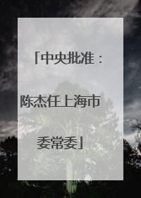 中央批准：陈杰任上海市委常委