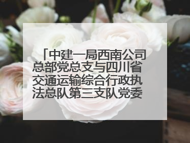 中建一局西南公司总部党总支与四川省交通运输综合行政执法总队第三支队党委、万源市草坝镇莲花院村党支部开展党建联建