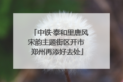 中铁·泰和里唐风宋韵主题街区开市 郑州再添好去处