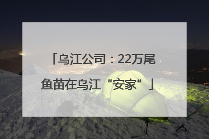 乌江公司：22万尾鱼苗在乌江“安家”