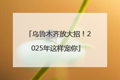 乌鲁木齐放大招！2025年这样宠你