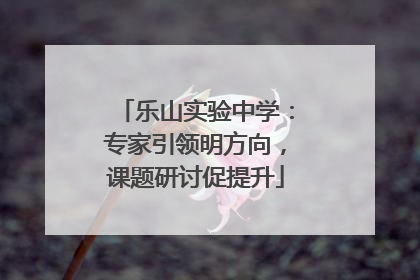 乐山实验中学：专家引领明方向，课题研讨促提升