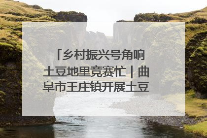 乡村振兴号角响 土豆地里竞赛忙｜曲阜市王庄镇开展土豆收获劳动竞赛