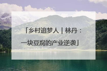 乡村追梦人｜林丹：一块豆腐的产业逆袭