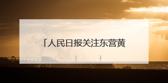 人民日报关注东营黄河口候鸟栖息地：更多飞鸟在这里安家