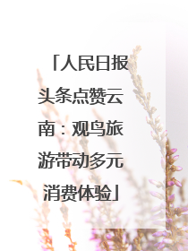 人民日报头条点赞云南：观鸟旅游带动多元消费体验
