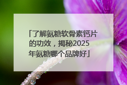 了解氨糖软骨素钙片的功效，揭秘2025年氨糖哪个品牌好
