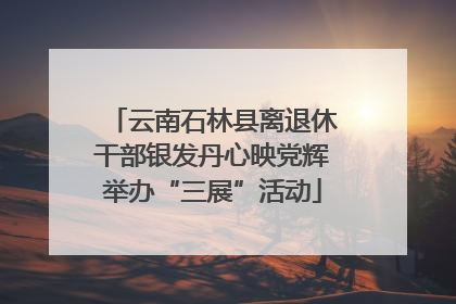 云南石林县离退休干部银发丹心映党辉举办“三展”活动