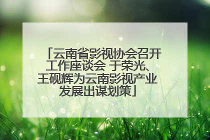 云南省影视协会召开工作座谈会 于荣光、王砚辉为云南影视产业发展出谋划策