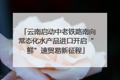 云南启动中老铁路南向常态化水产品进口开启“鲜”速贸易新征程