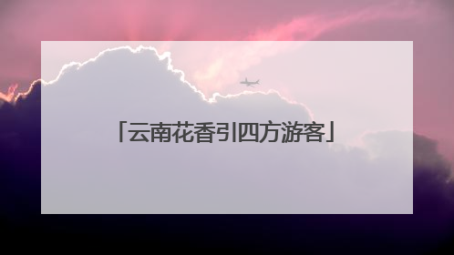 云南花香引四方游客