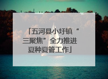 五河县小圩镇“三聚焦”全力推进夏种夏管工作