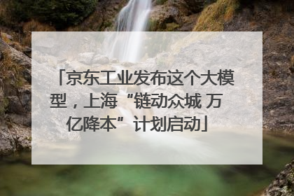 京东工业发布这个大模型，上海“链动众城 万亿降本”计划启动
