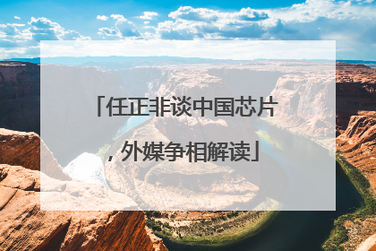 任正非谈中国芯片，外媒争相解读