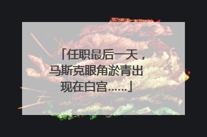 任职最后一天，马斯克眼角淤青出现在白宫……
