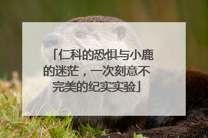 仁科的恐惧与小鹿的迷茫，一次刻意不完美的纪实实验