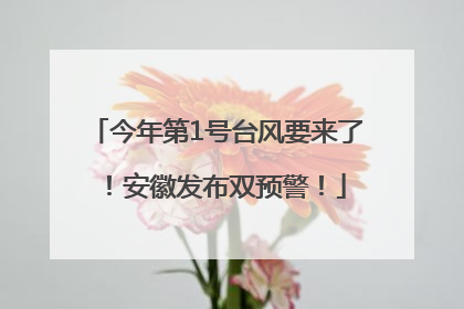 今年第1号台风要来了！安徽发布双预警！