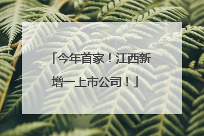 今年首家！江西新增一上市公司！