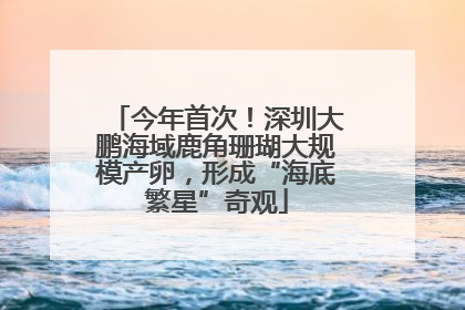 今年首次！深圳大鹏海域鹿角珊瑚大规模产卵，形成“海底繁星”奇观