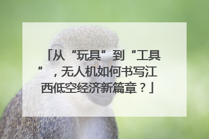 从“玩具”到“工具”，无人机如何书写江西低空经济新篇章？