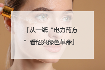 从一纸“电力药方”看绍兴绿色革命