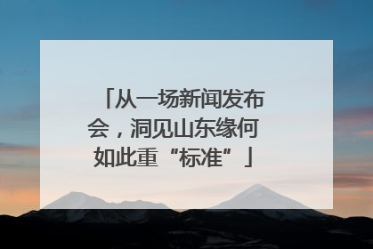 从一场新闻发布会，洞见山东缘何如此重“标准”