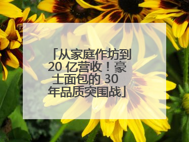 从家庭作坊到 20 亿营收！豪士面包的 30 年品质突围战