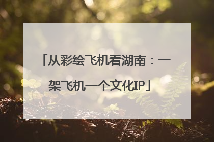 从彩绘飞机看湖南：一架飞机一个文化IP