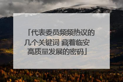 代表委员频频热议的几个关键词 藏着临安高质量发展的密码