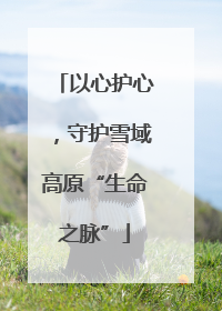 以心护心，守护雪域高原“生命之脉”