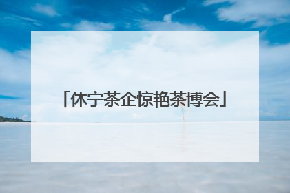 休宁茶企惊艳茶博会