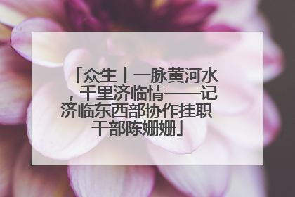 众生丨一脉黄河水，千里济临情——记济临东西部协作挂职干部陈姗姗
