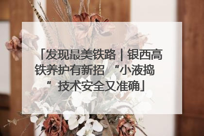发现最美铁路｜银西高铁养护有新招 “小液捣”技术安全又准确